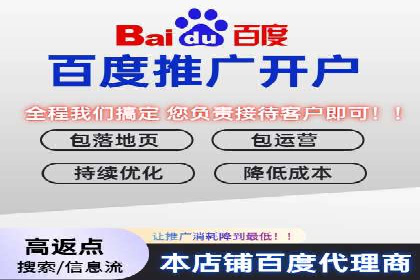 某行业SEM主管的优化策略与成果展示